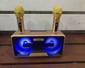 LOA BLUETOOTH KARAOKE 2 MIC SD 301